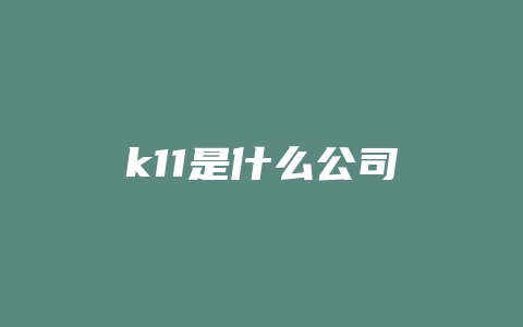 k11是什么公司