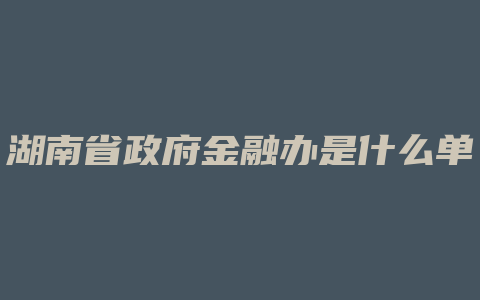 湖南省政府金融办是什么单位